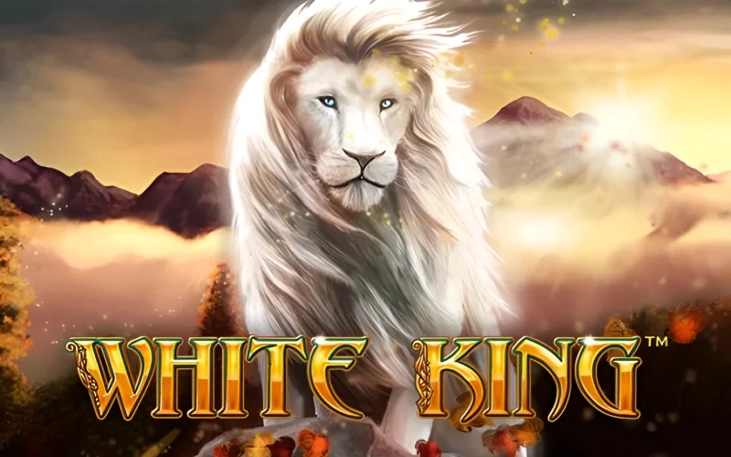 Jogo de futebol download apk