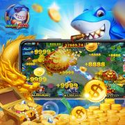 20 bet
